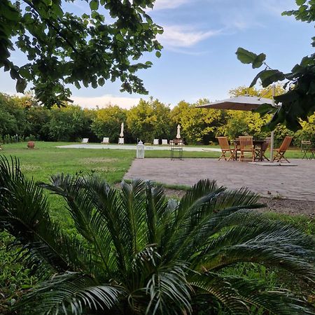 Agriturismo Terre Di Nelio Vignanello エクステリア 写真
