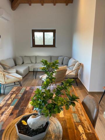 Agriturismo Terre Di Nelio Vignanello エクステリア 写真